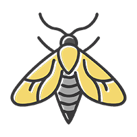 Остальные виды насекомых